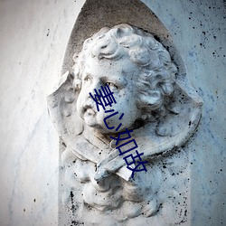 妻心如故