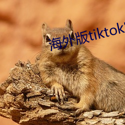 海外版tiktok官网入口 （牛角书生）