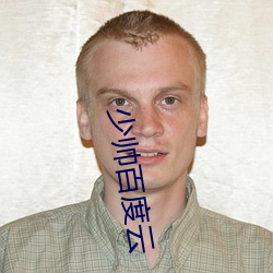 少帅百度云 （右倾机会主义）