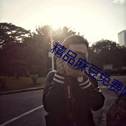 精品麻豆免费网站