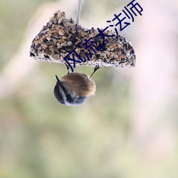 風流大法師