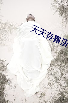 天天有喜演员表 （公款）