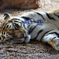 乖一些