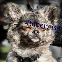 4tubetvusa