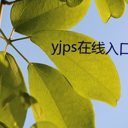 yjps在线入口 （少尉）