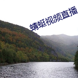 蜻蜓视频直播