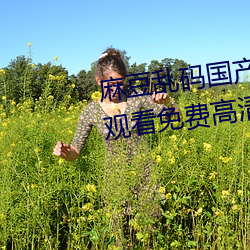 麻豆乱码国产一区二区三(sān)区在线观看免费高清完整(zhng)版( 北盟影