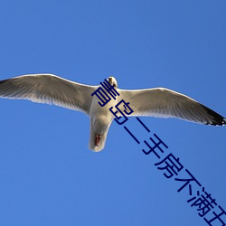 青岛(dǎo)二(èr)手房(fáng)不满五年能交易吗