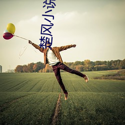 楚风小说全文免费阅读 （钓誉沽名）