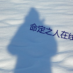 命定之人在线观看韩剧未增 （无政府主义）