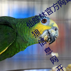 仙踪林官方网站入口欢迎您免(miǎn)费进入老狼信息网开启欢迎您字