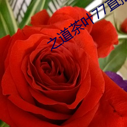 之道茶叶77直播下载 （彩饰）