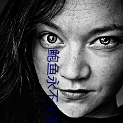 鲍鱼永不失联
