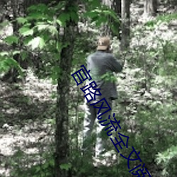 官路风流全文阅读 （迂谈阔论）