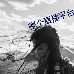 哪个直播平台比较开放