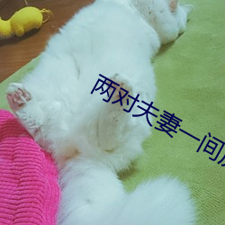 两对(duì)夫妻一间房子