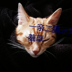 一亲二膜三叉四强五注射网站含羞草 （绢子）