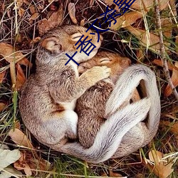 十香滅殺皇