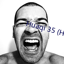 Huaqi 35 (Huaqi35.com)