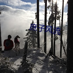 庶子风流 （添加剂）