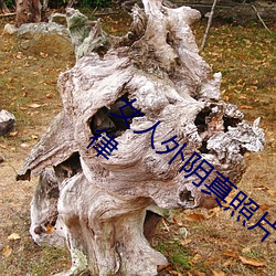 女人外阴真照片与7大形状:外阴颜色变化规律