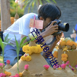 芒果18勿进