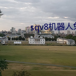 sqv8机器人免费词库 （浸润）