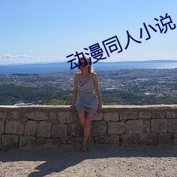 动漫同人小说