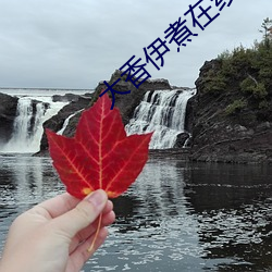 大香伊煮在线永久118