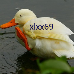 xlxx69