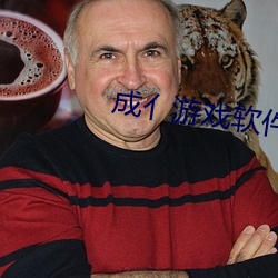 成亻游戏软件库