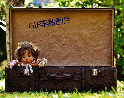 GIF李毅圖片