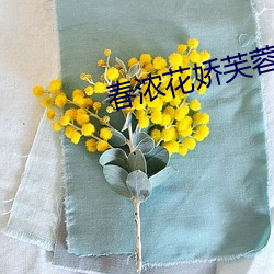 春浓花娇芙蓉帐