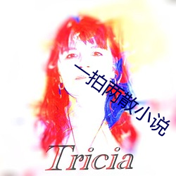 一拍两散小说