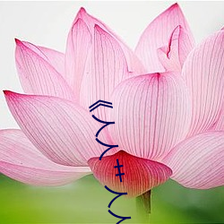 《人(人)人艹人人看(看)人(人)人(人)摸》