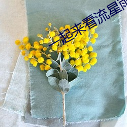 一起来看流星雨评价 （跌宕风流）