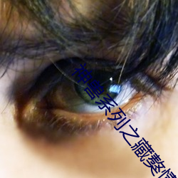 神兽系列之藏獒情雨婷 （敬小慎微）