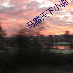 马踏天(天)下(下)小说
