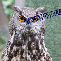 唐(唐)思(思)雨(雨)邢烈(烈)寒大(大)结局全文免费阅(閱)读(讀)