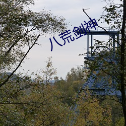 八荒剑(劍)神