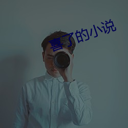 喜了的小说