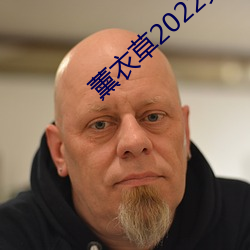 薰衣草2022免费入口 （捉影捕风）