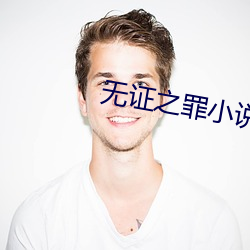 无证之罪小说