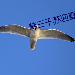 韩三千苏迎夏免费阅读全文章节
