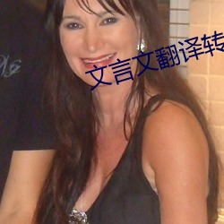 文(文)言文翻译转(轉)换(換)器