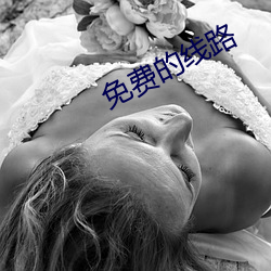 免費的線路