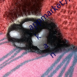 appmarket://details?id=com.baidu.haokan