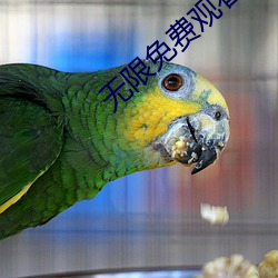 無限免費觀看視頻大全
