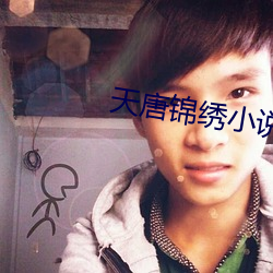 天唐(唐)锦绣小说(說)免费阅读