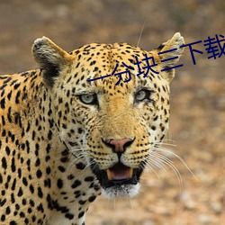 一分块三(sān)下(xià)载